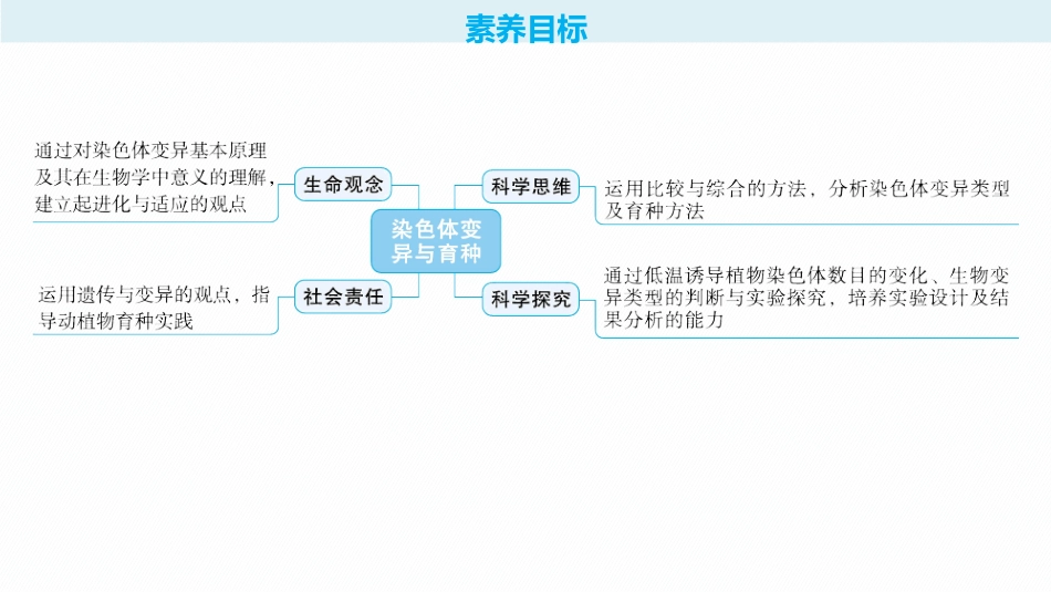 第25讲　染色体变异与育种-【高考生物】2026优化设计一轮复习(生物).pptx_第2页