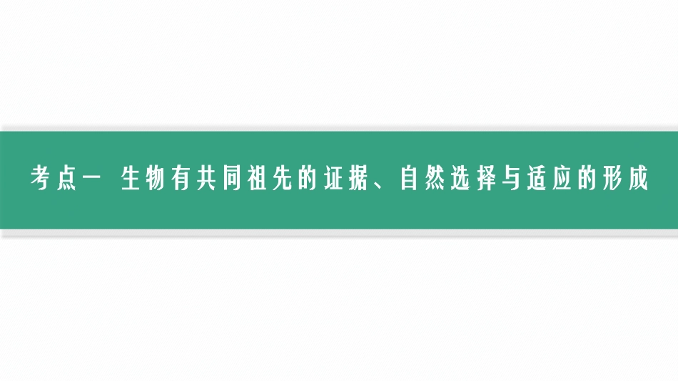 第26讲　生物的进化-【高考生物】2026优化设计一轮复习(生物).pptx_第3页