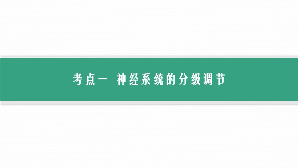 第28讲　第3课时　神经系统的分级调节及人脑的高级功能-【高考生物】2026优化设计一轮复习(生物).pptx_第2页
