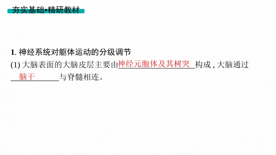 第28讲　第3课时　神经系统的分级调节及人脑的高级功能-【高考生物】2026优化设计一轮复习(生物).pptx_第3页