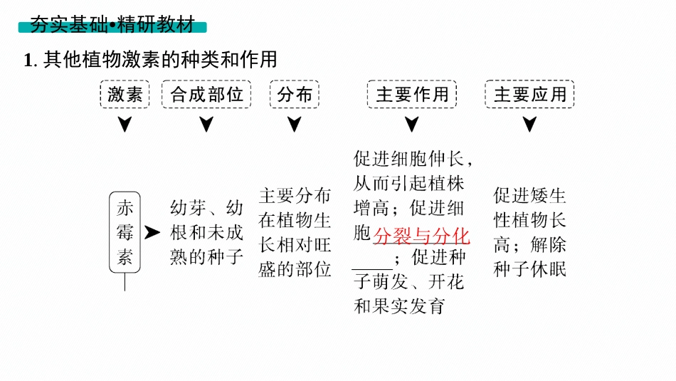 第31讲　第2课时　其他植物激素及调节、植物生长调节剂的应用-【高考生物】2026优化设计一轮复习(生物).pptx_第3页