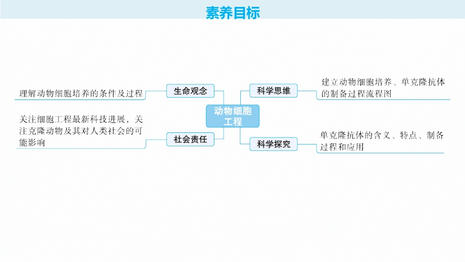 第41讲　动物细胞工程-【高考生物】2026优化设计一轮复习(生物).pptx_第2页
