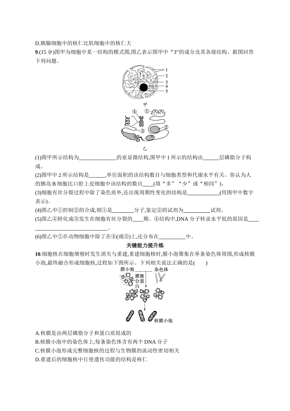 课时规范练7　细胞核与细胞结构的统一性-【高考生物】2026优化设计一轮复习(生物)人教版.docx_第3页