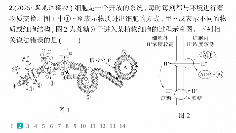 课时规范练9　物质出入细胞的方式及影响因素-【高考生物】2026优化设计一轮复习(生物).pptx_第3页