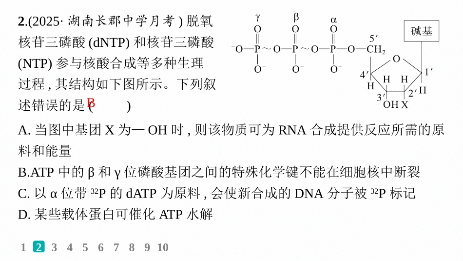 课时规范练11　细胞的能量“货币”ATP-【高考生物】2026优化设计一轮复习(生物).pptx_第3页