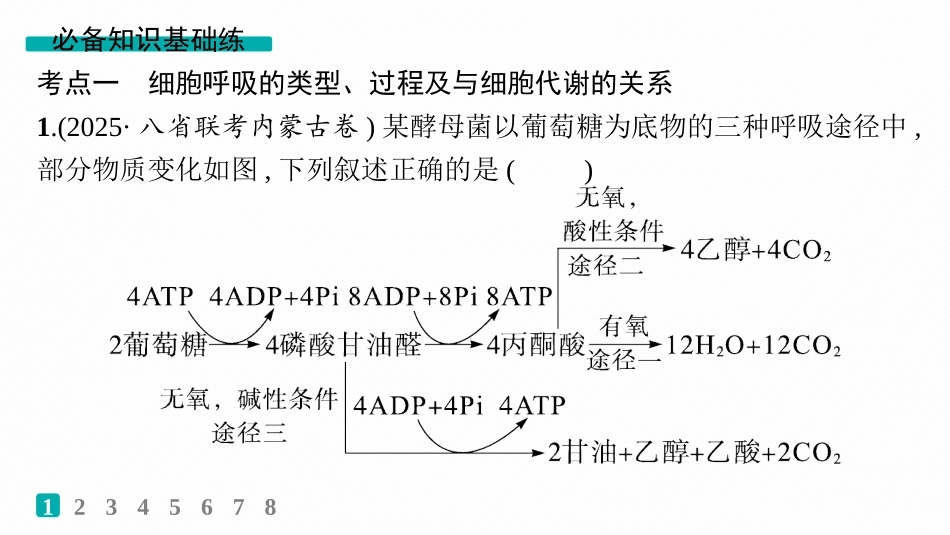 课时规范练12　细胞呼吸的原理和过程-【高考生物】2026优化设计一轮复习(生物).pptx_第2页