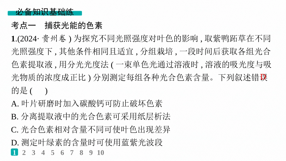 课时规范练14　捕获光能的色素和结构、光合作用原理的探索-【高考生物】2026优化设计一轮复习(生物).pptx_第2页