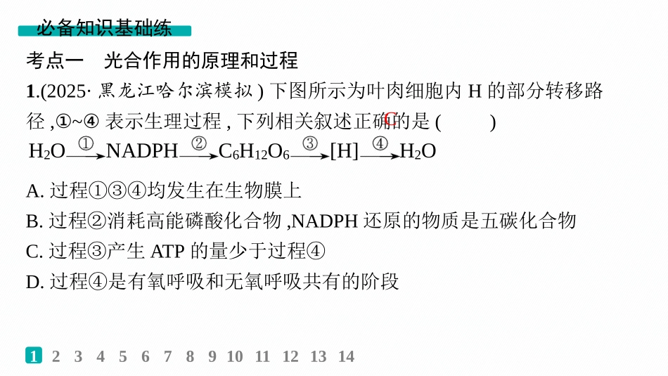 课时规范练15　光合作用原理-【高考生物】2026优化设计一轮复习(生物).pptx_第2页