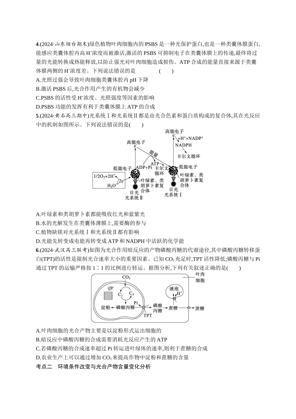 课时规范练15　光合作用原理-【高考生物】2026优化设计一轮复习(生物)人教版.docx_第2页