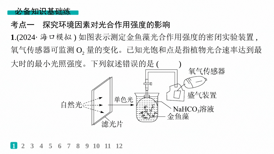 课时规范练16　光合作用的影响因素及其应用-【高考生物】2026优化设计一轮复习(生物).pptx_第2页