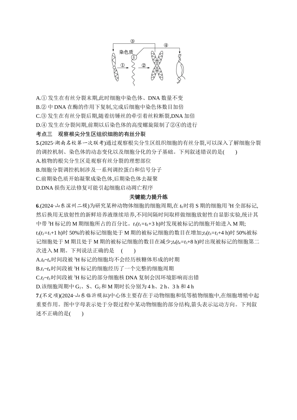 课时规范练18　细胞增殖的周期性和有丝分裂-【高考生物】2026优化设计一轮复习(生物)人教版.docx_第2页
