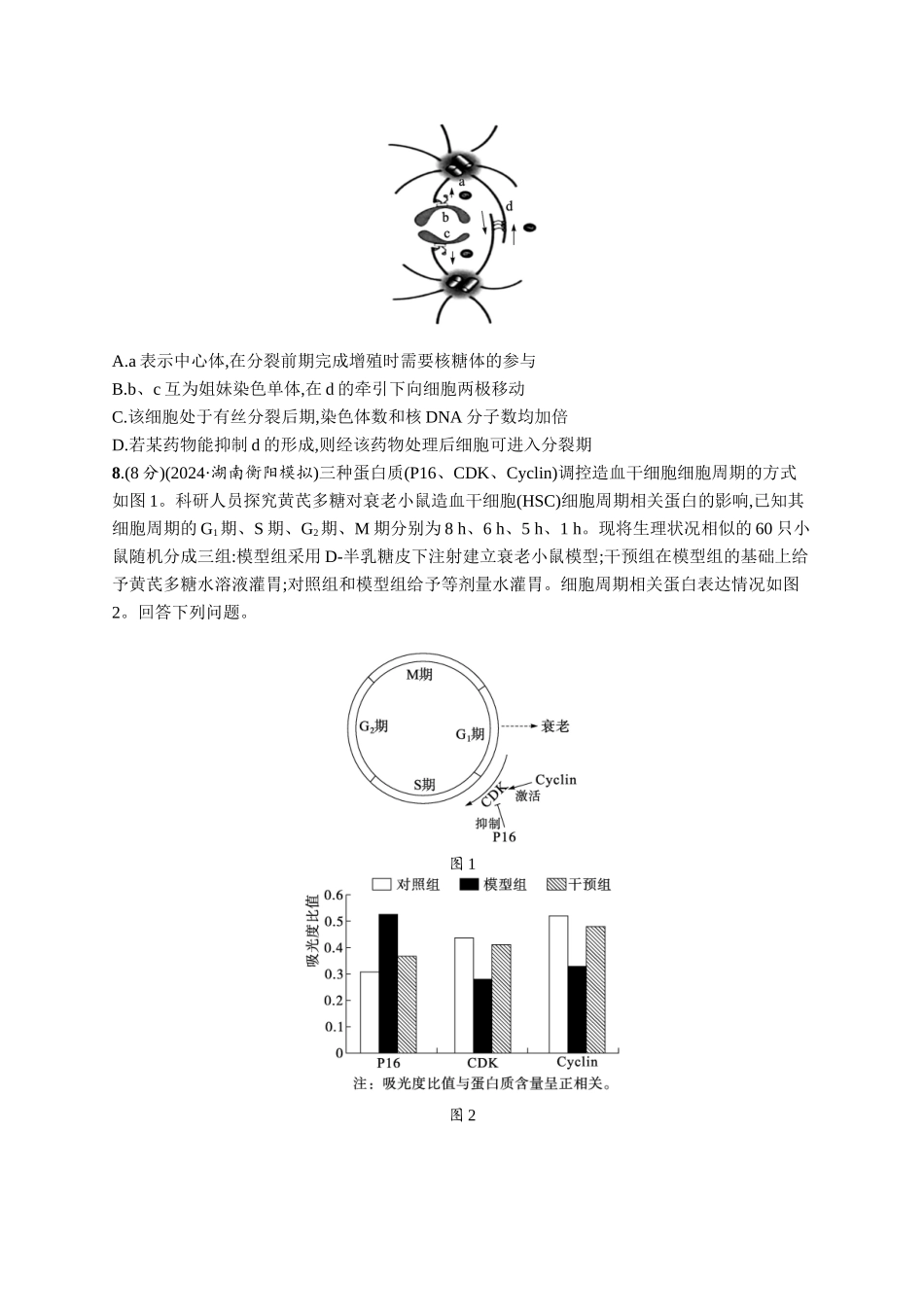 课时规范练18　细胞增殖的周期性和有丝分裂-【高考生物】2026优化设计一轮复习(生物)人教版.docx_第3页