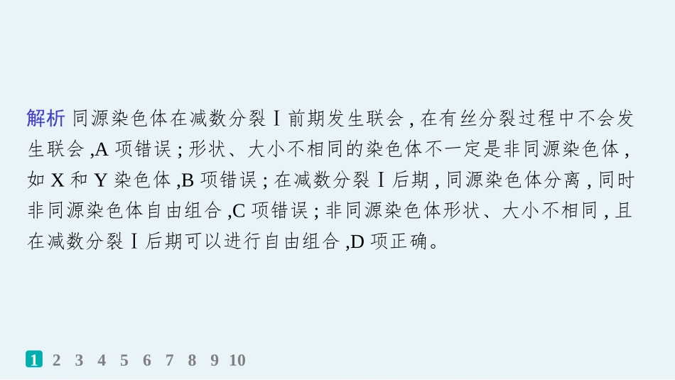 课时规范练19　减数分裂和受精作用过程-【高考生物】2026优化设计一轮复习(生物).pptx_第3页