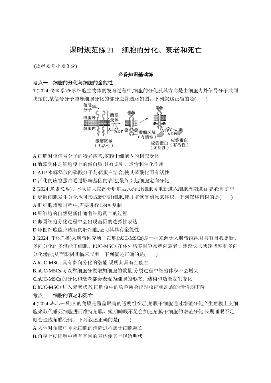 课时规范练21　细胞的分化、衰老和死亡-【高考生物】2026优化设计一轮复习(生物)人教版.docx_第1页