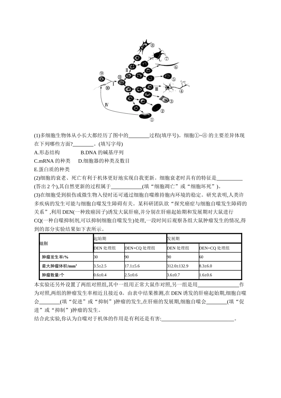 课时规范练21　细胞的分化、衰老和死亡-【高考生物】2026优化设计一轮复习(生物)人教版.docx_第3页