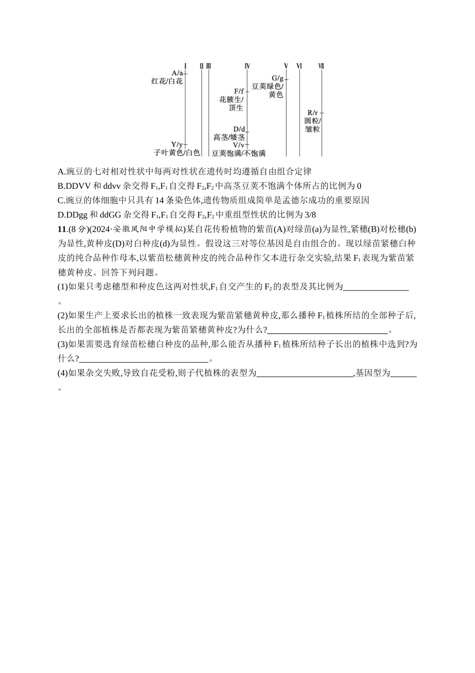 课时规范练24　自由组合定律的发现及应用-【高考生物】2026优化设计一轮复习(生物)人教版.docx_第3页