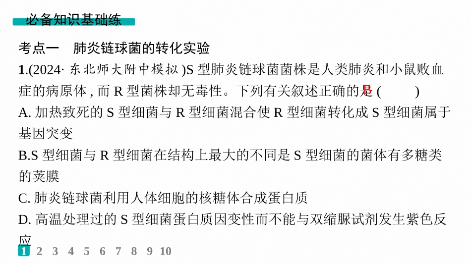 课时规范练28　DNA是主要的遗传物质-【高考生物】2026优化设计一轮复习(生物).pptx_第2页
