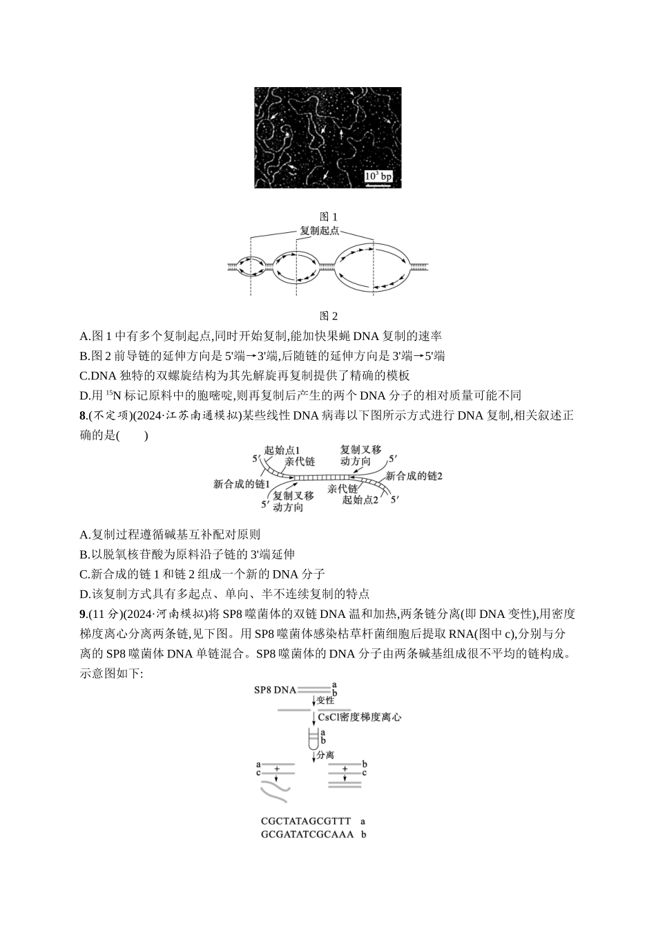 课时规范练29　DNA的结构和复制、基因的本质-【高考生物】2026优化设计一轮复习(生物)人教版.docx_第3页