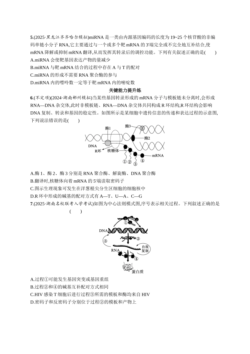 课时规范练30　基因的表达-【高考生物】2026优化设计一轮复习(生物)人教版.docx_第2页