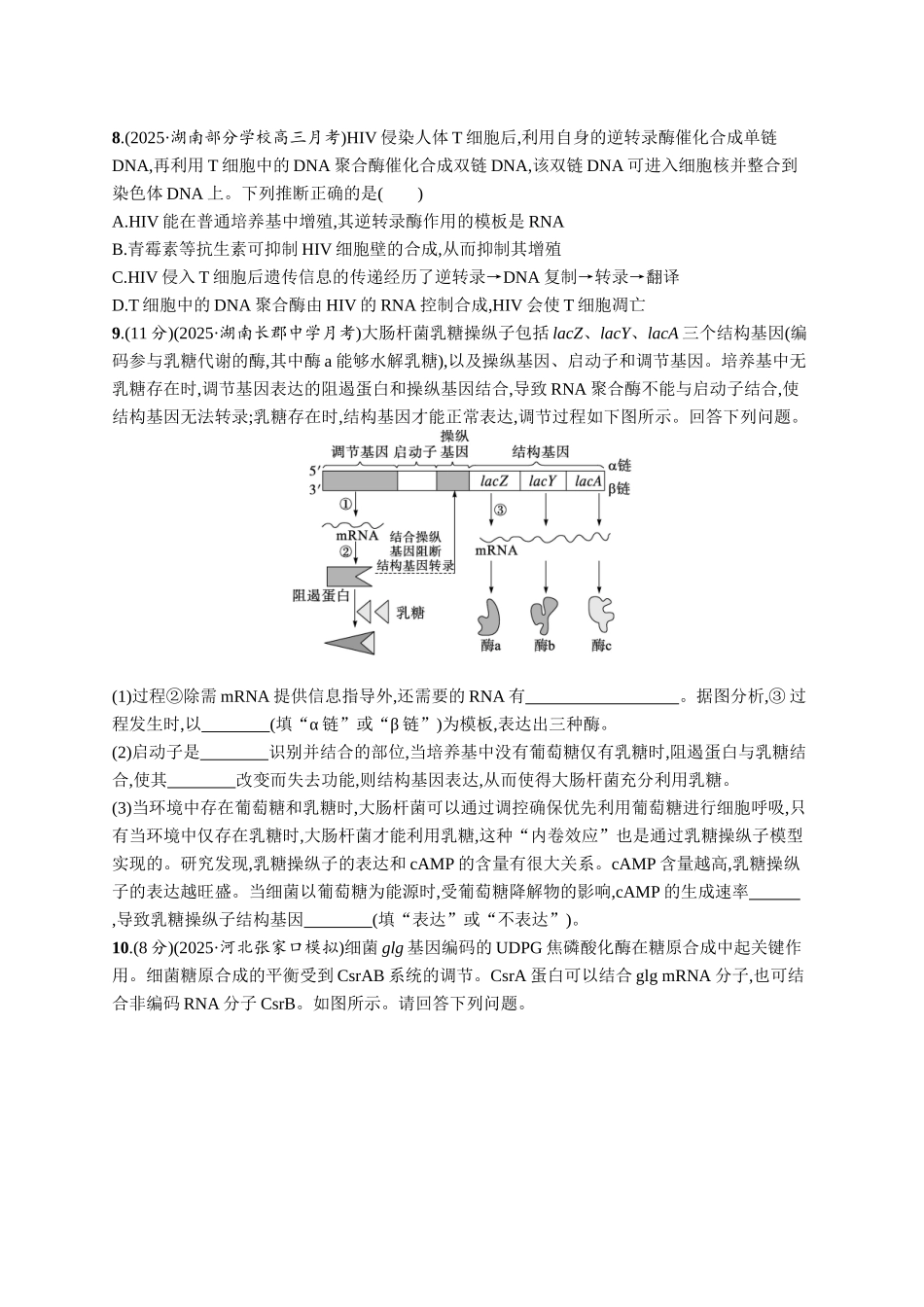 课时规范练30　基因的表达-【高考生物】2026优化设计一轮复习(生物)人教版.docx_第3页