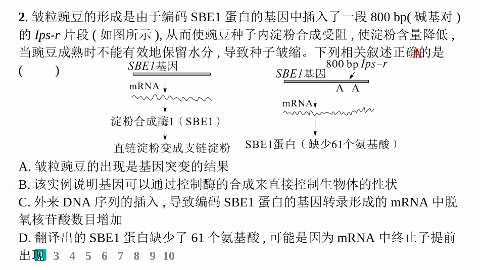 课时规范练31　基因表达和性状的关系-【高考生物】2026优化设计一轮复习(生物).pptx_第3页