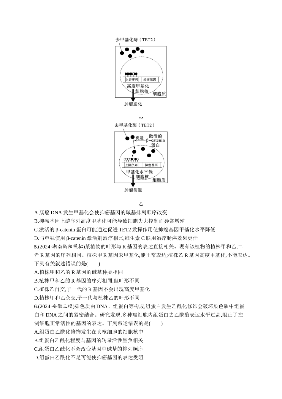 课时规范练31　基因表达和性状的关系-【高考生物】2026优化设计一轮复习(生物)人教版.docx_第2页