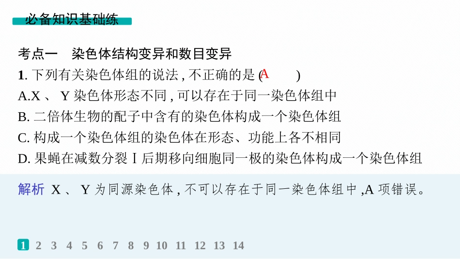 课时规范练33　染色体变异与育种-【高考生物】2026优化设计一轮复习(生物).pptx_第2页