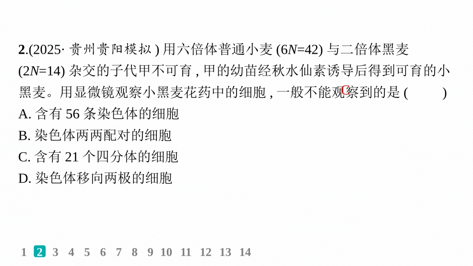 课时规范练33　染色体变异与育种-【高考生物】2026优化设计一轮复习(生物).pptx_第3页