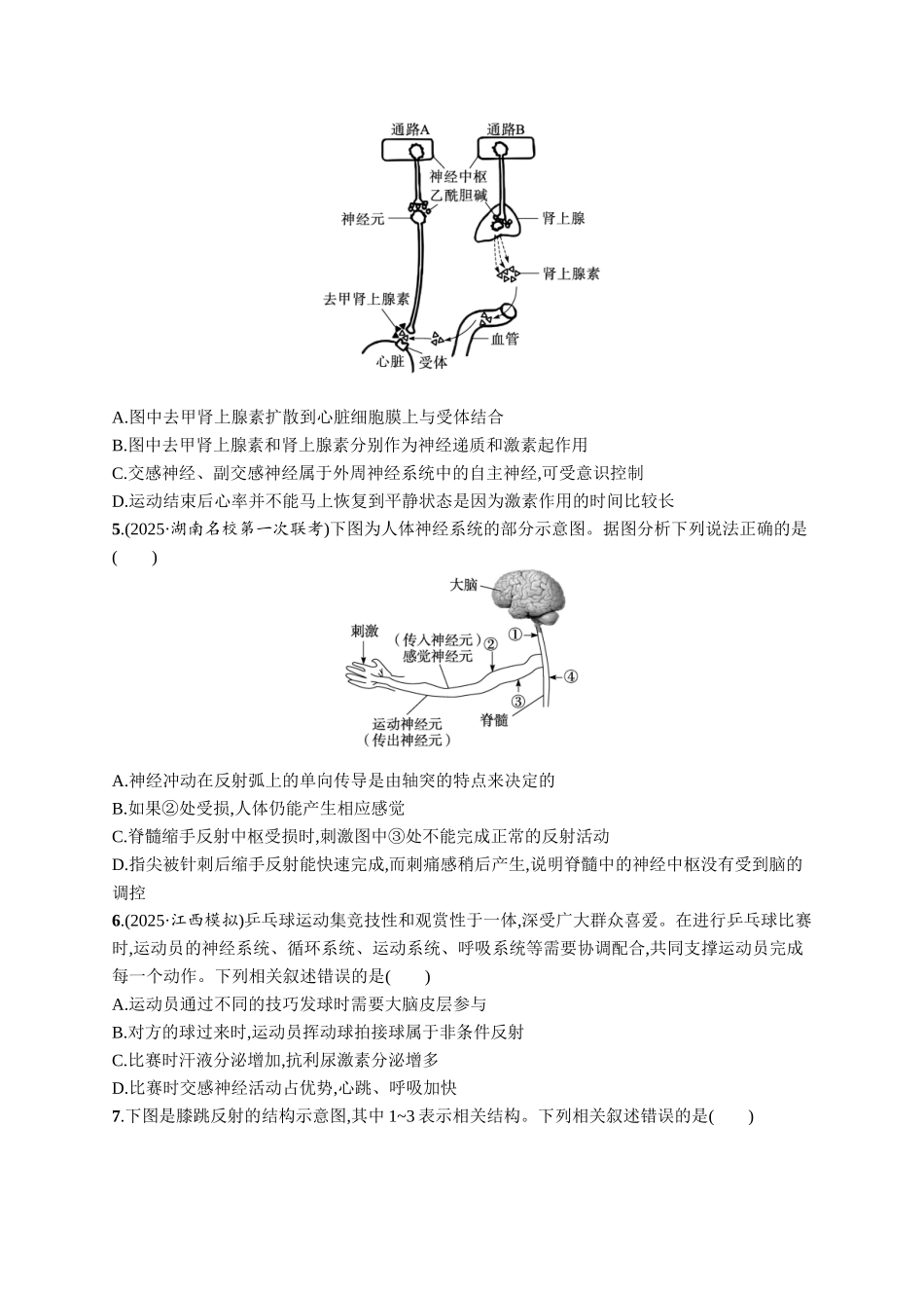 课时规范练36　神经调节的结构基础及基本方式-【高考生物】2026优化设计一轮复习(生物)人教版.docx_第2页