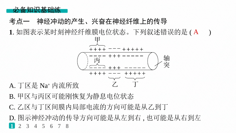 课时规范练37　神经冲动的产生、传导和传递-【高考生物】2026优化设计一轮复习(生物).pptx_第2页