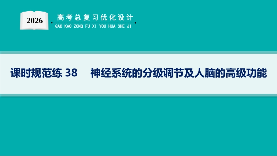 课时规范练38　神经系统的分级调节及人脑的高级功能-【高考生物】2026优化设计一轮复习(生物).pptx_第1页