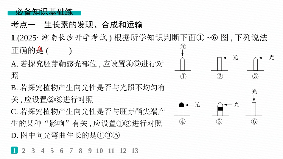 课时规范练43　植物生长素及其生理作用-【高考生物】2026优化设计一轮复习(生物).pptx_第2页