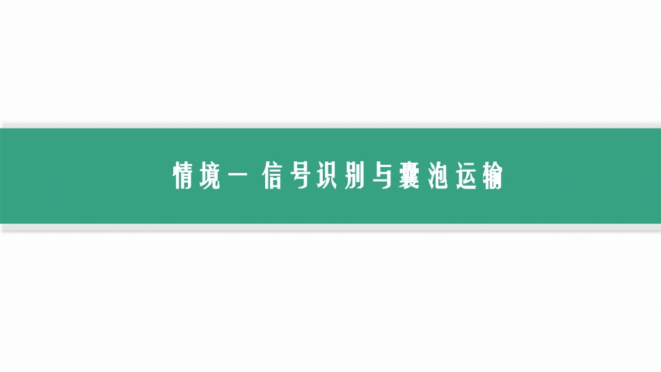情境突破课1　囊泡运输及细胞自噬-【高考生物】2026优化设计一轮复习(生物).pptx_第2页