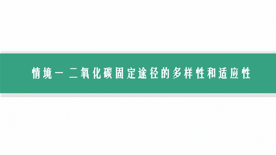 情境突破课4　二氧化碳固定的三种特殊途径、光呼吸-【高考生物】2026优化设计一轮复习(生物).pptx_第2页