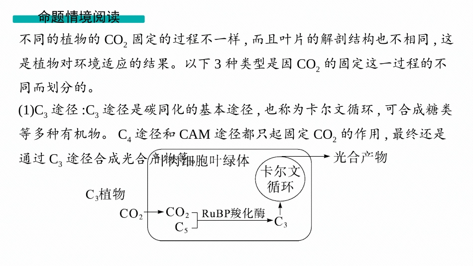 情境突破课4　二氧化碳固定的三种特殊途径、光呼吸-【高考生物】2026优化设计一轮复习(生物).pptx_第3页
