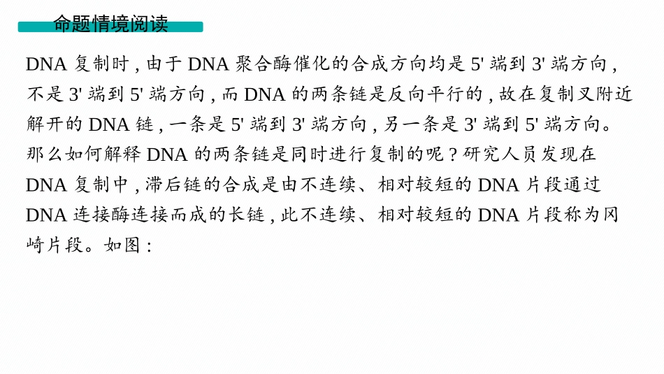 情境突破课5　DNA复制与“冈崎片段”-【高考生物】2026优化设计一轮复习(生物).pptx_第2页