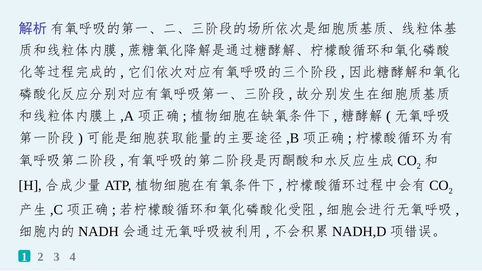 情境突破练　对细胞呼吸过程的深入探究-【高考生物】2026优化设计一轮复习(生物).pptx_第3页