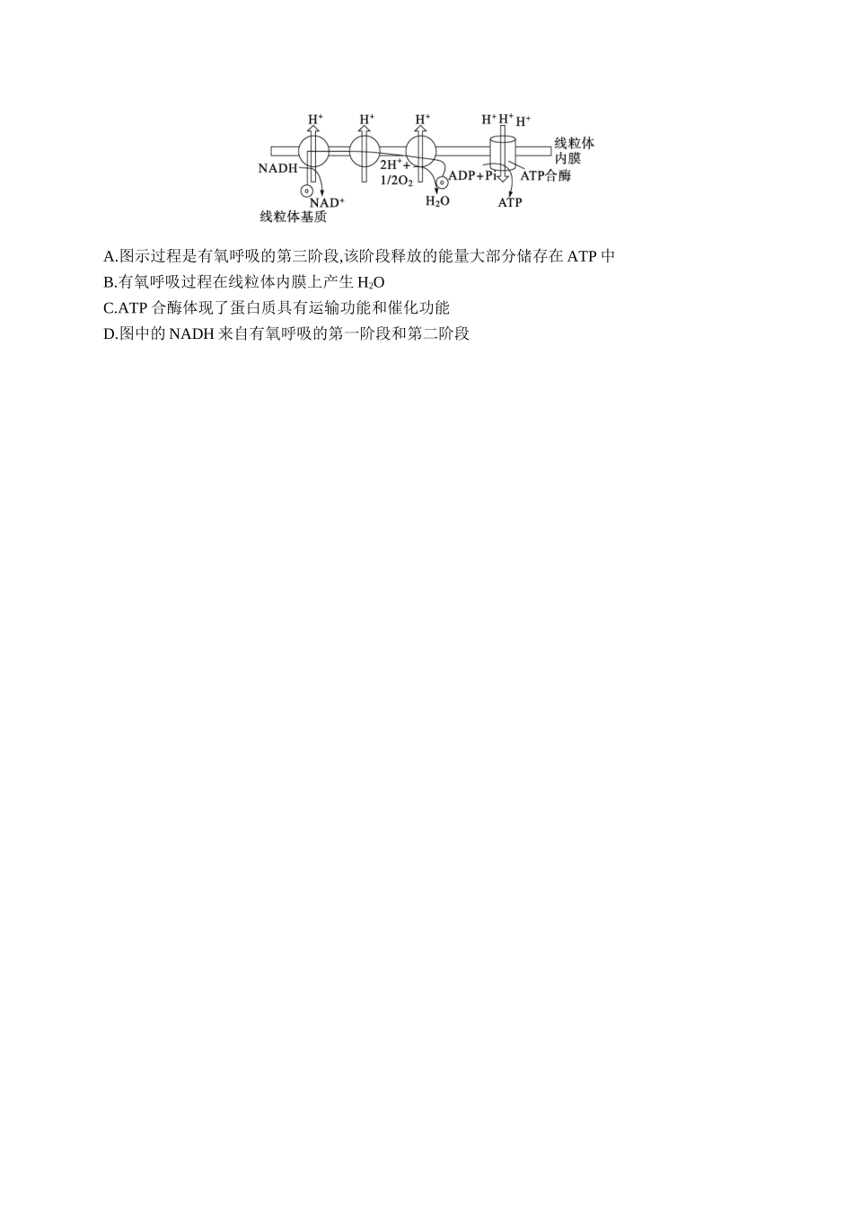 情境突破练　对细胞呼吸过程的深入探究-【高考生物】2026优化设计一轮复习(生物)人教版.docx_第2页