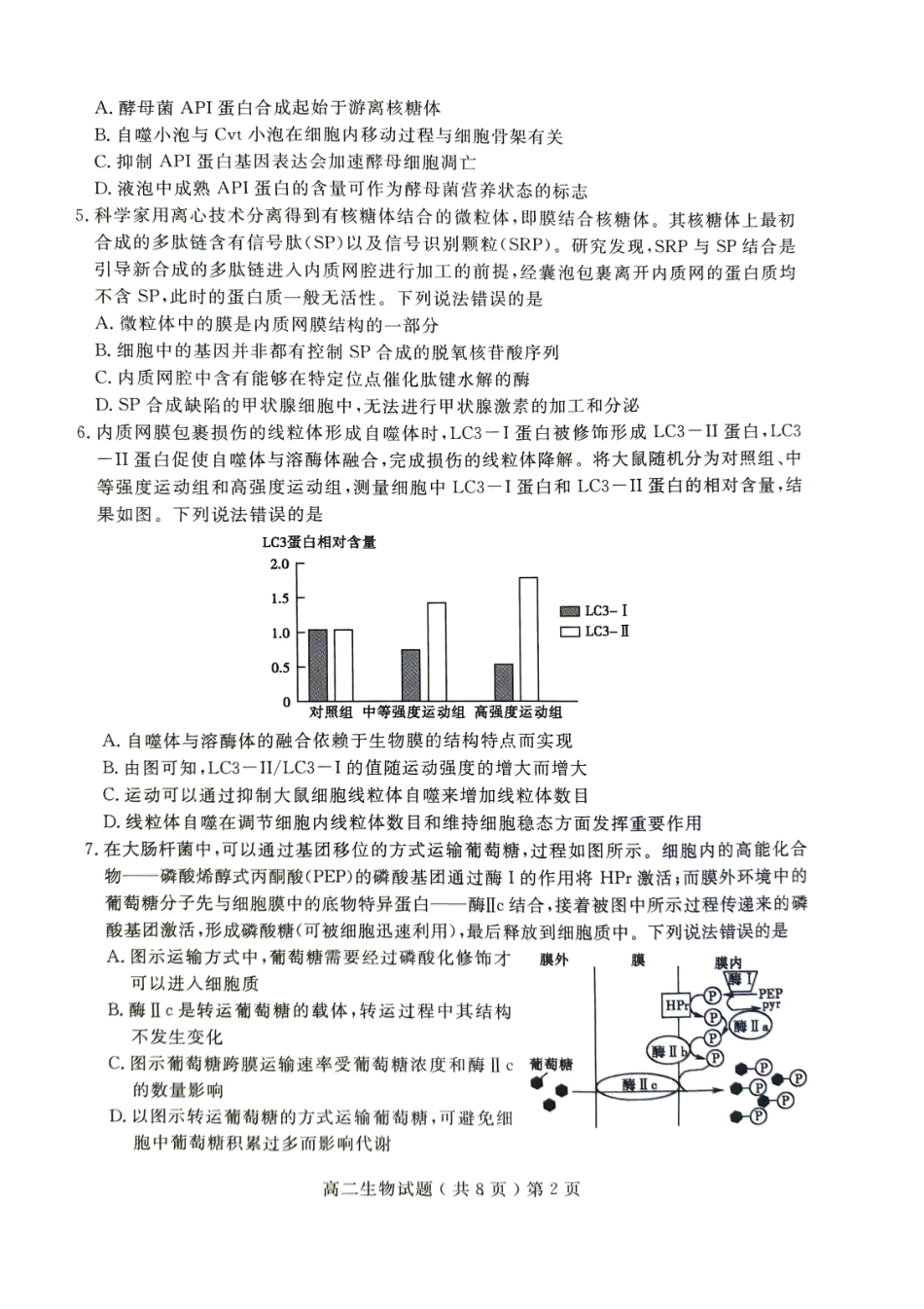 山东省聊城市2023-2024学年高二下学期期末教学质量抽测考试生物试卷.pdf_第2页
