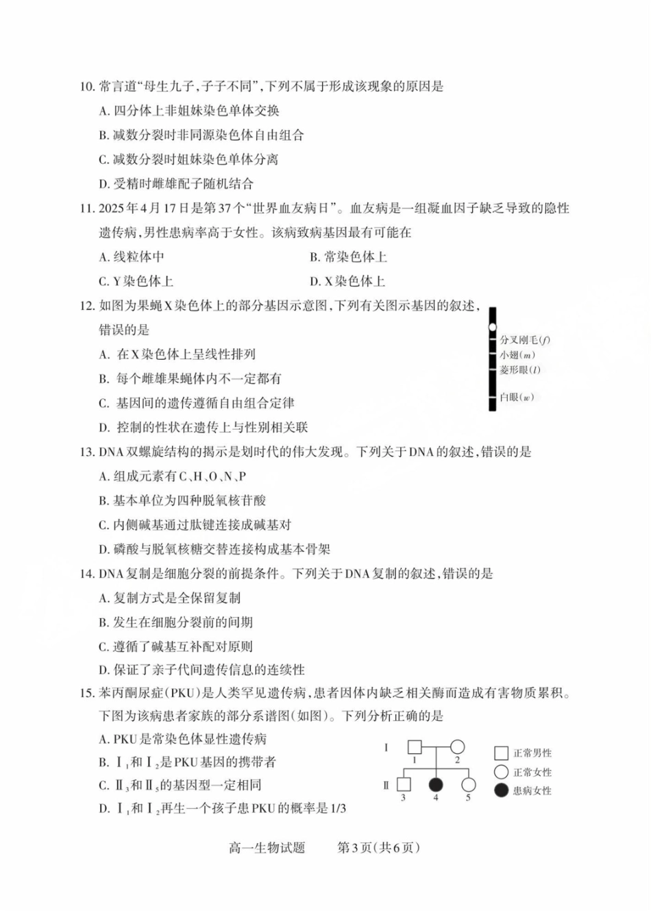 山西省县域联盟2024-2025学年高一下学期5月月考生物试卷（有解析）.pdf_第3页