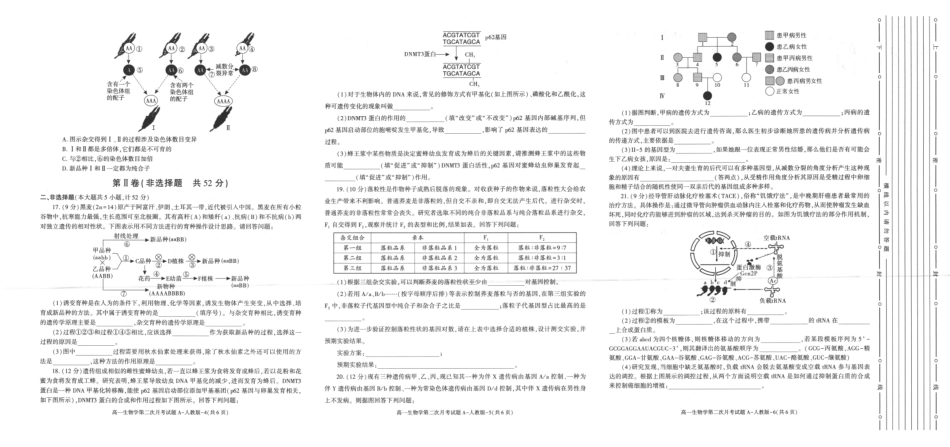 陕西省多校2024-2025学年高一下学期6月月考生物试题.pdf_第2页