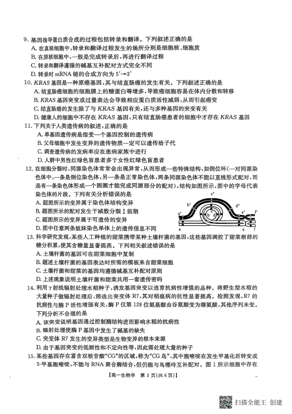 陕西省汉中市部分学校2024-2025学年高一下学期阶段性测试生物试卷（）.pdf_第3页