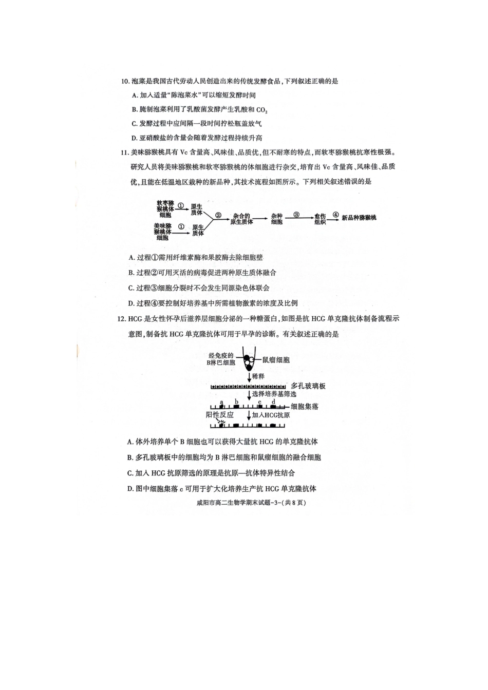 陕西省咸阳市普通高中2023-2024学年高二下学期7月期末质量检测考试生物试卷.pdf_第3页