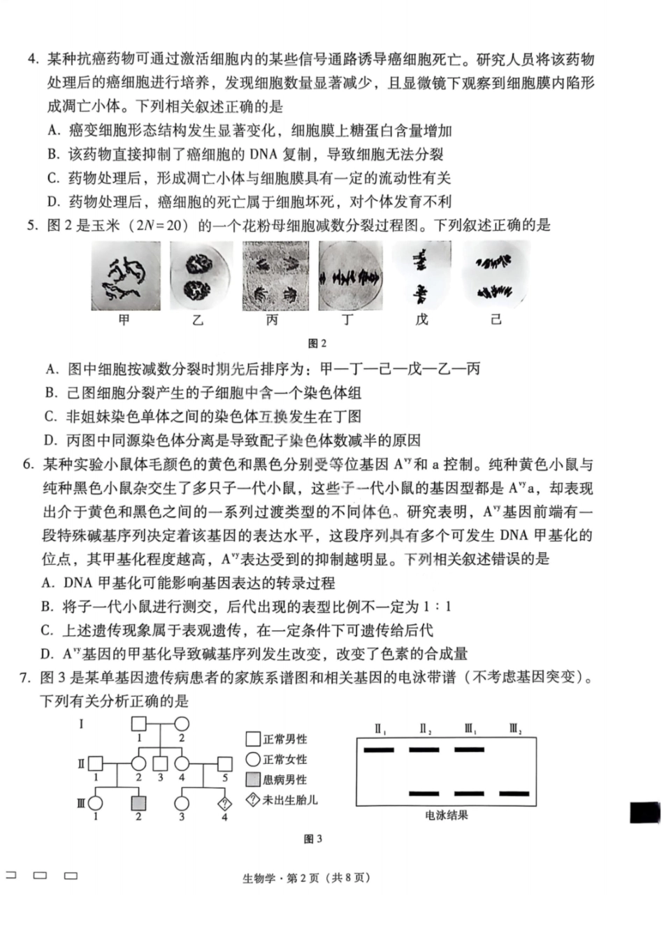 生物试卷【贵州卷】【2026届高三】贵州省六校联盟2026届高三高考实用性联考卷（一）（6.12-6.13）.pdf_第2页