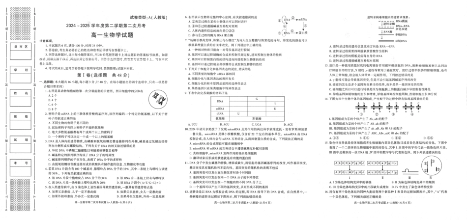 生物试题（6月月考）+答案【西北卷】【陕西卷】【高一】陕西省多校联考2024-2025学年度第二学期高一年级第二次月考（6.11-6.12）.pdf_第1页