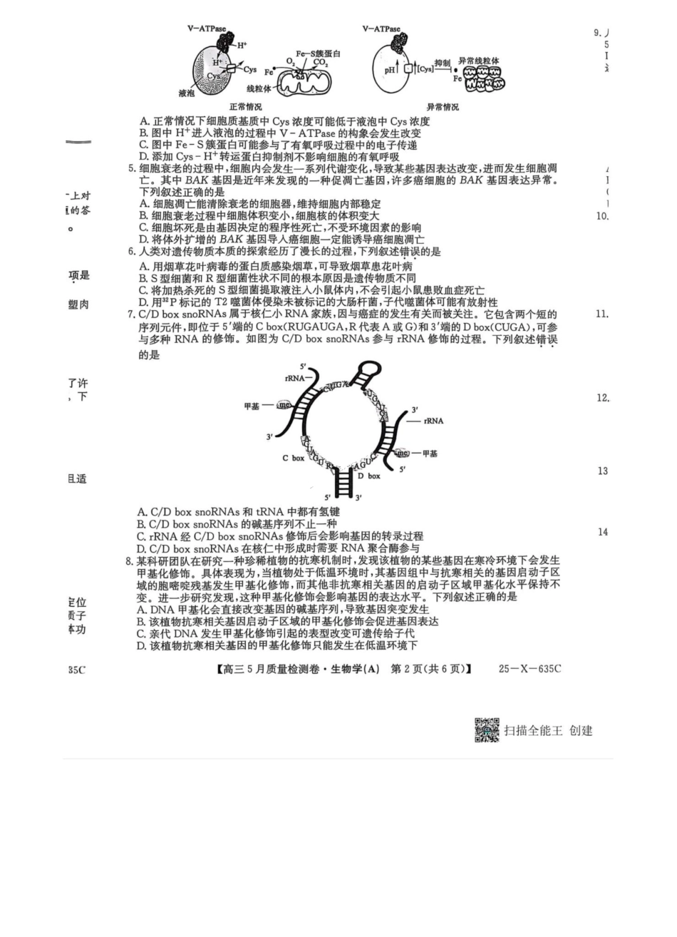 生物试题卷A25-X-635C2024-2025学年高三5月质量检测卷（5.22-5.23）.pdf_第2页