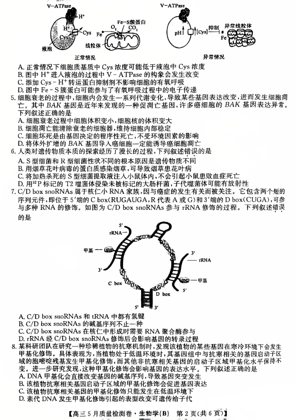 生物试题卷B25-X-635C2024-2025学年高三5月质量检测卷（5.22-5.23）.pdf_第2页