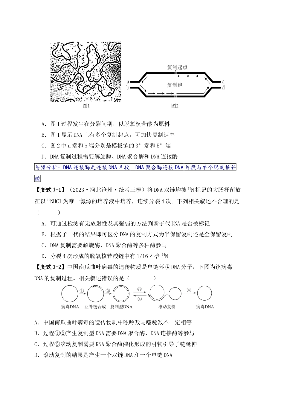 易错点09 基因表达的“三个”理解误区（原卷版） -【高考生物】备战2025年高考易错题（新高考专用）.docx_第2页