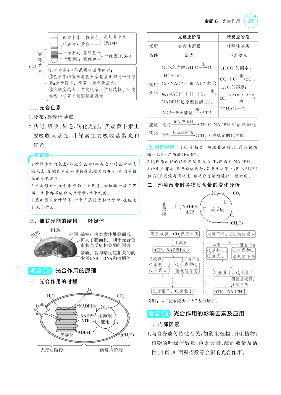 专题6   光合作用-【高考总复习】2025版新高考生物考点清单+模型清单.pdf_第2页