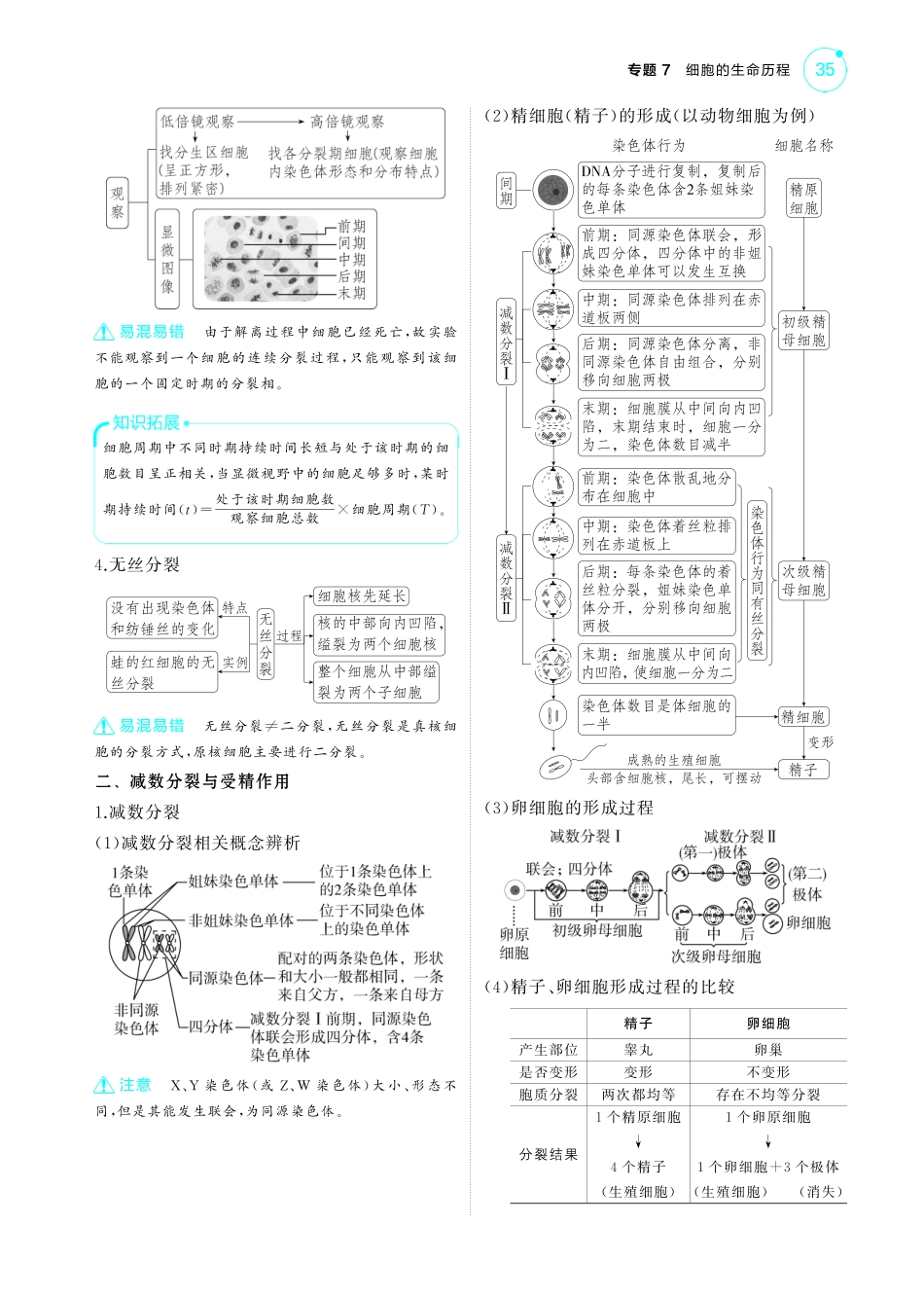 专题7   细胞的生命历程-【高考总复习】2025版新高考生物考点清单+模型清单.pdf_第3页